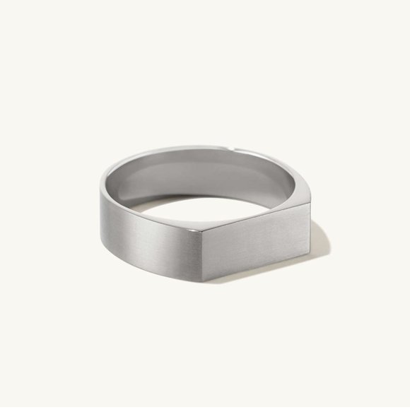 Mejuri Other - Mejuri Men's Titanium Slim Rectangular Signet Ring